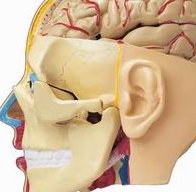 厦门寻助孕，安全之选在何方？挑选助孕机构的实用指南