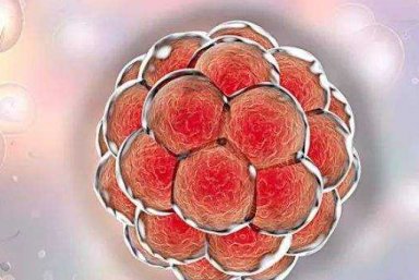 哈尔滨三代试管费用，2026哈尔滨三代试管医院费用10到20万元